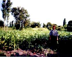contr1506.jpg, 11373 bytes