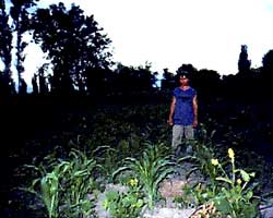 contr2505.jpg, 11125 bytes