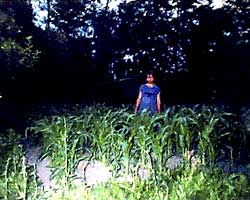 opyt2505.jpg, 13353 bytes
